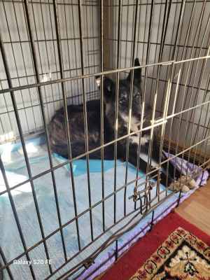 WhatsApp Image 2024-09-16 at 14.12.03 (1).jpeg