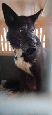 WhatsApp Image 2024-09-07 at 15.01.04.jpeg