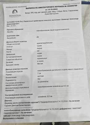 WhatsApp Image 2024-10-15 at 21.03.35.jpeg