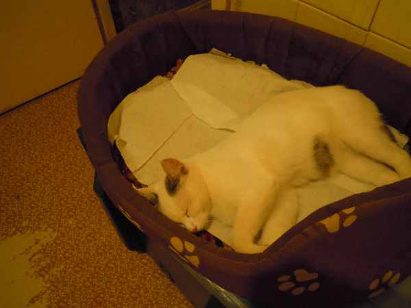 DSCN9012.JPG