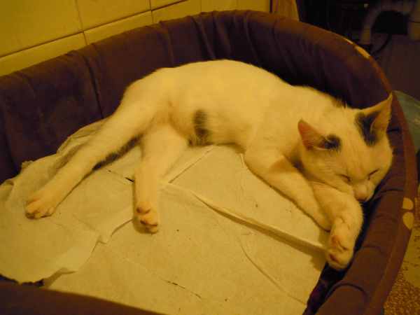 DSCN9014.JPG