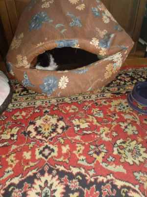 IMG-20241021-WA0018.jpg