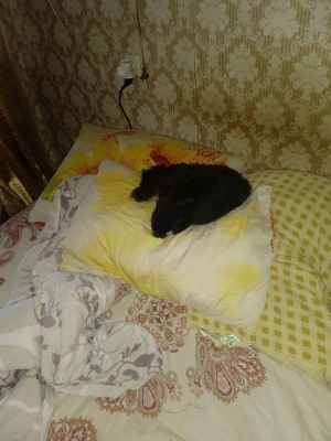 IMG-20241021-WA0019.jpg