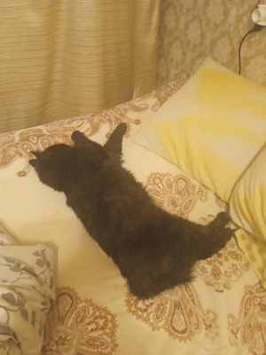 IMG-20241027-WA0014.jpg