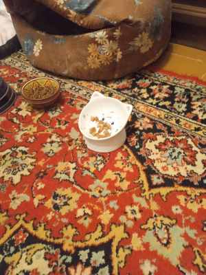 IMG-20241027-WA0015.jpg