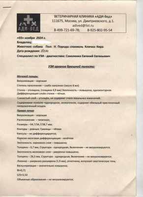 1504652162_1001.thumb.jpg.fadbb9a114bd60d80a81d20e453f0271.jpg