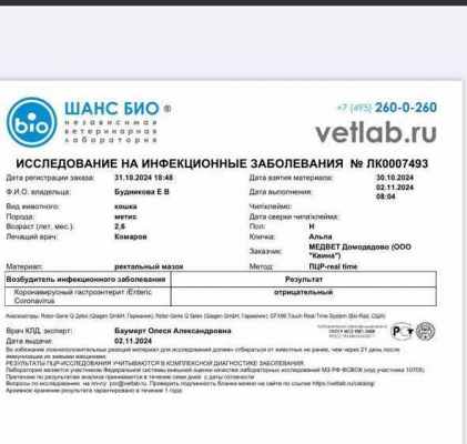 IMG-20241106-WA0018.jpg
