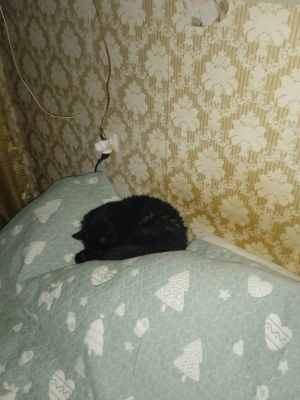 IMG-20241214-WA0015.jpg