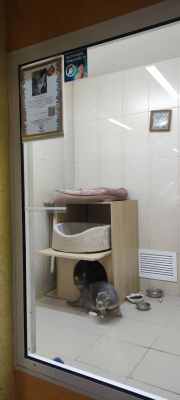 IMG-20241215-WA0094.jpg