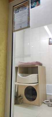 IMG-20241215-WA0098.jpg
