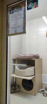 IMG-20241215-WA0100.jpg