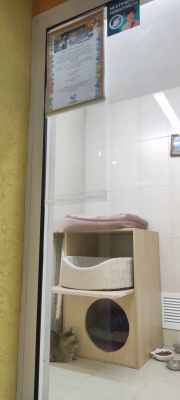 IMG-20241215-WA0102.jpg