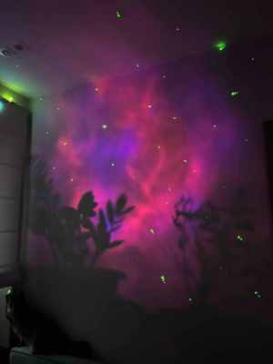 IMG_20250110_172725_877.jpg