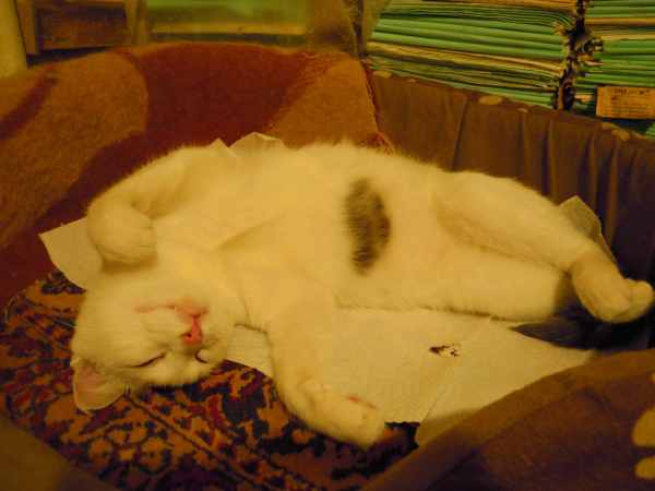DSCN9027.JPG