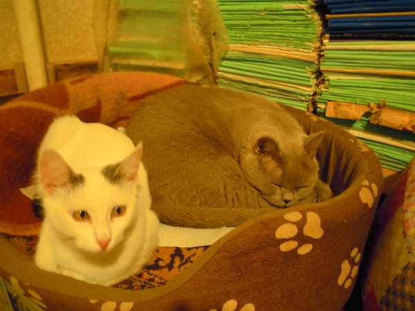 DSCN9037.JPG