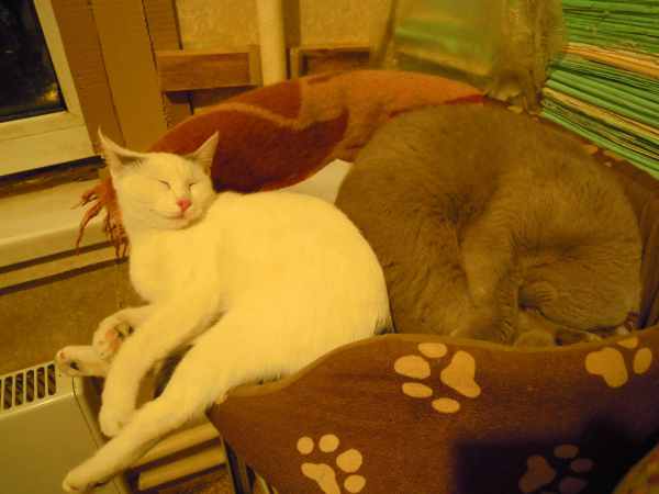 DSCN9043.JPG
