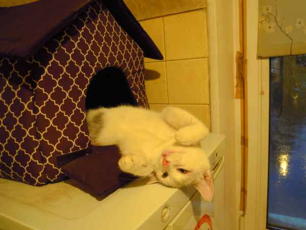 DSCN9053.JPG
