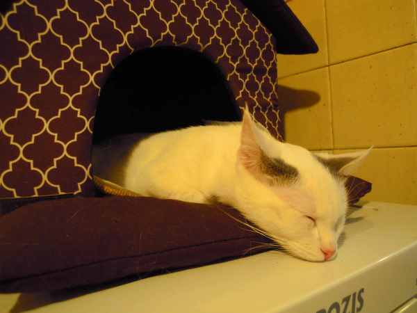 DSCN9078.JPG