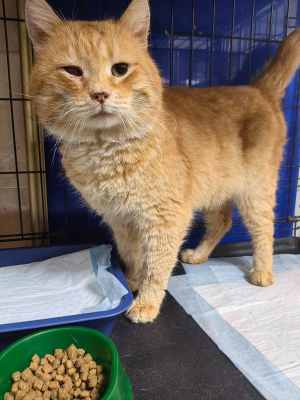 Федя новые фото.jpg