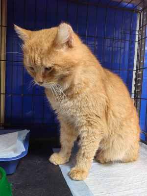 Федя новые 2.jpg