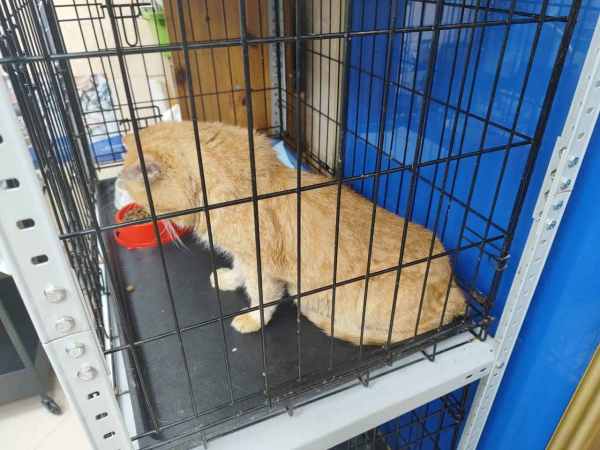 Федя от 16.05.jpg