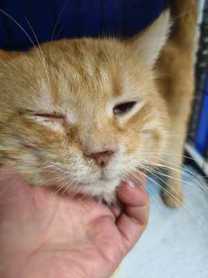 Федя новые 1.jpg