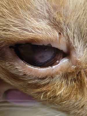 Федя новые 3.jpg