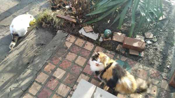 photo_2024-12-24_18-12-19.thumb.jpg.2657b6e99e611cfedb3f993ad2defb16.jpg