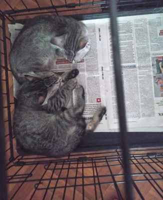 WhatsApp Image 2025-07-14 at 12.34.52.jpeg