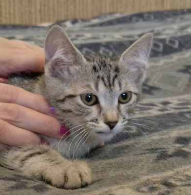 WhatsApp Image 2025-07-15 at 15.27.40.jpeg