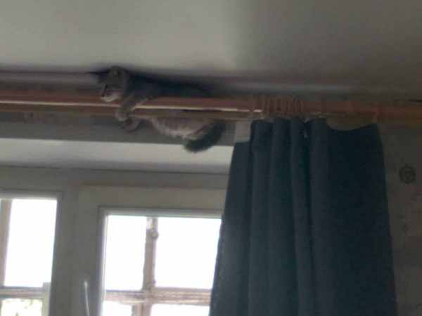 WhatsApp Image 2025-07-12 at 13.39.48.jpeg