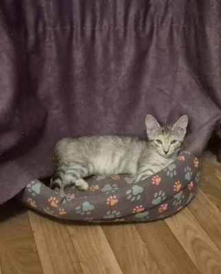 WhatsApp Image 2025-07-25 at 23.58.54.jpeg