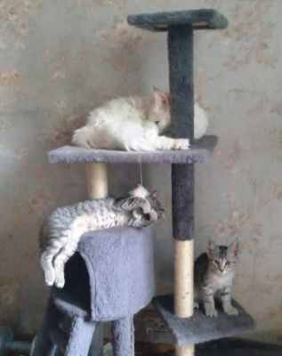 WhatsApp Image 2025-07-22 at 11.29.37.jpeg