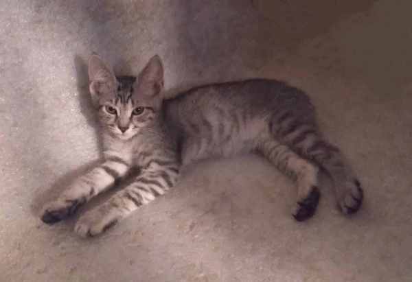 WhatsApp Image 2025-07-19 at 11.20.59.jpeg