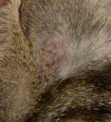 WhatsApp Image 2025-07-28 at 18.18.10.jpeg