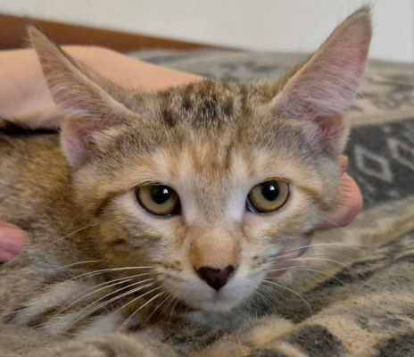 WhatsApp Image 2025-07-20 at 12.45.20.jpeg