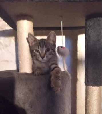 WhatsApp Image 2025-07-19 at 11.21.44.jpeg