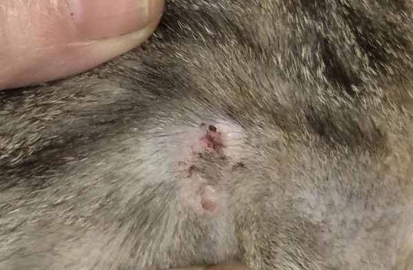 WhatsApp Image 2025-07-20 at 12.44.18.jpeg