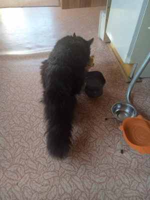 IMG-20250711-WA0014.jpg