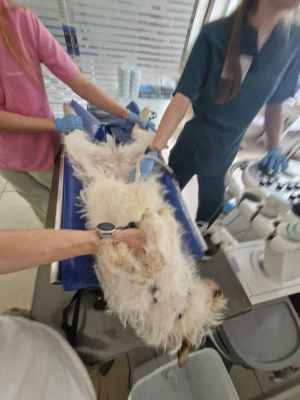 WhatsApp Image 2025-08-03 at 18.09.16 (1).jpeg