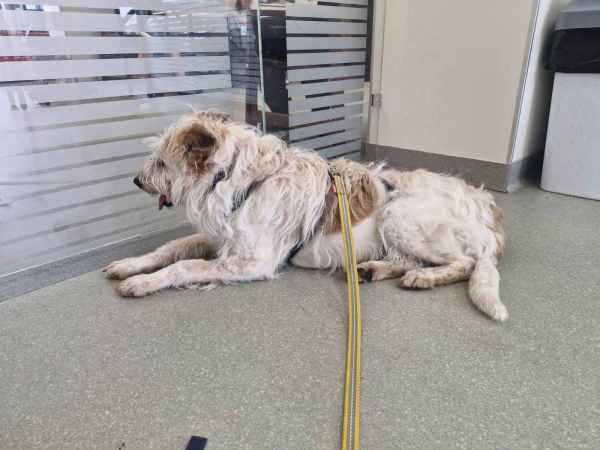 WhatsApp Image 2025-08-03 at 18.09.17 (2).jpeg