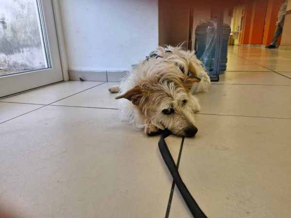 WhatsApp Image 2025-08-15 at 21.41.31.jpeg