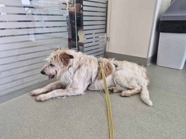 WhatsApp Image 2025-08-03 at 18.09.17 (1).jpeg