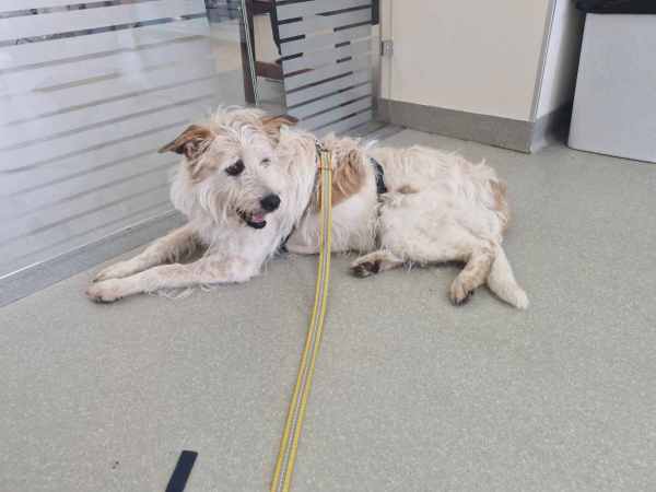 WhatsApp Image 2025-08-03 at 18.09.17.jpeg