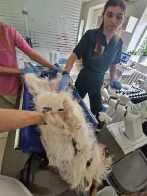 WhatsApp Image 2025-08-03 at 18.09.16.jpeg