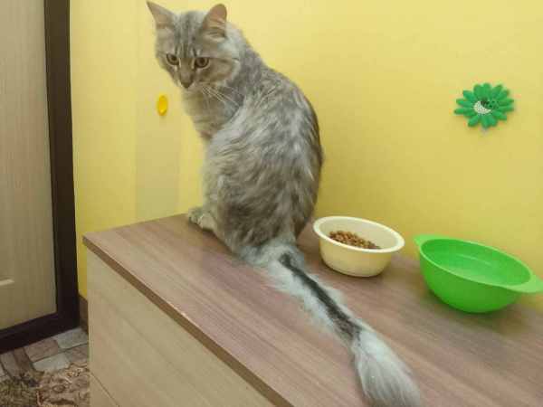 4.thumb.jpg.4659c6630f43b3b8a241101fb596c951.jpg
