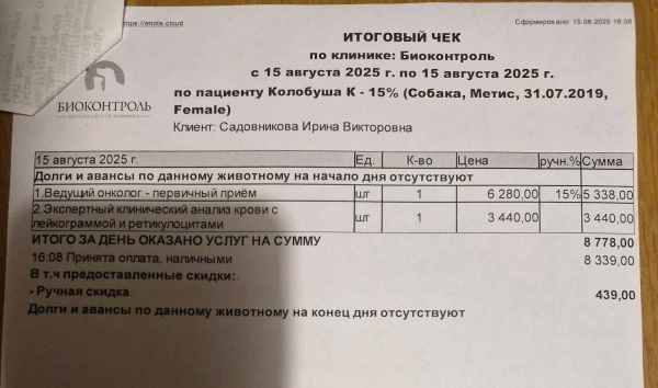 WhatsApp Image 2025-08-15 at 22.56.56.jpeg