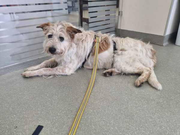 WhatsApp Image 2025-08-03 at 18.09.16 (2).jpeg