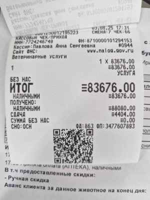 WhatsApp Image 2025-08-03 at 17.41.45.jpeg