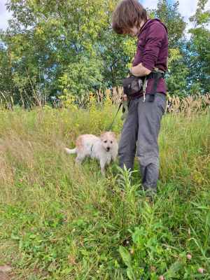 WhatsApp Image 2025-08-29 at 01.46.23.jpeg